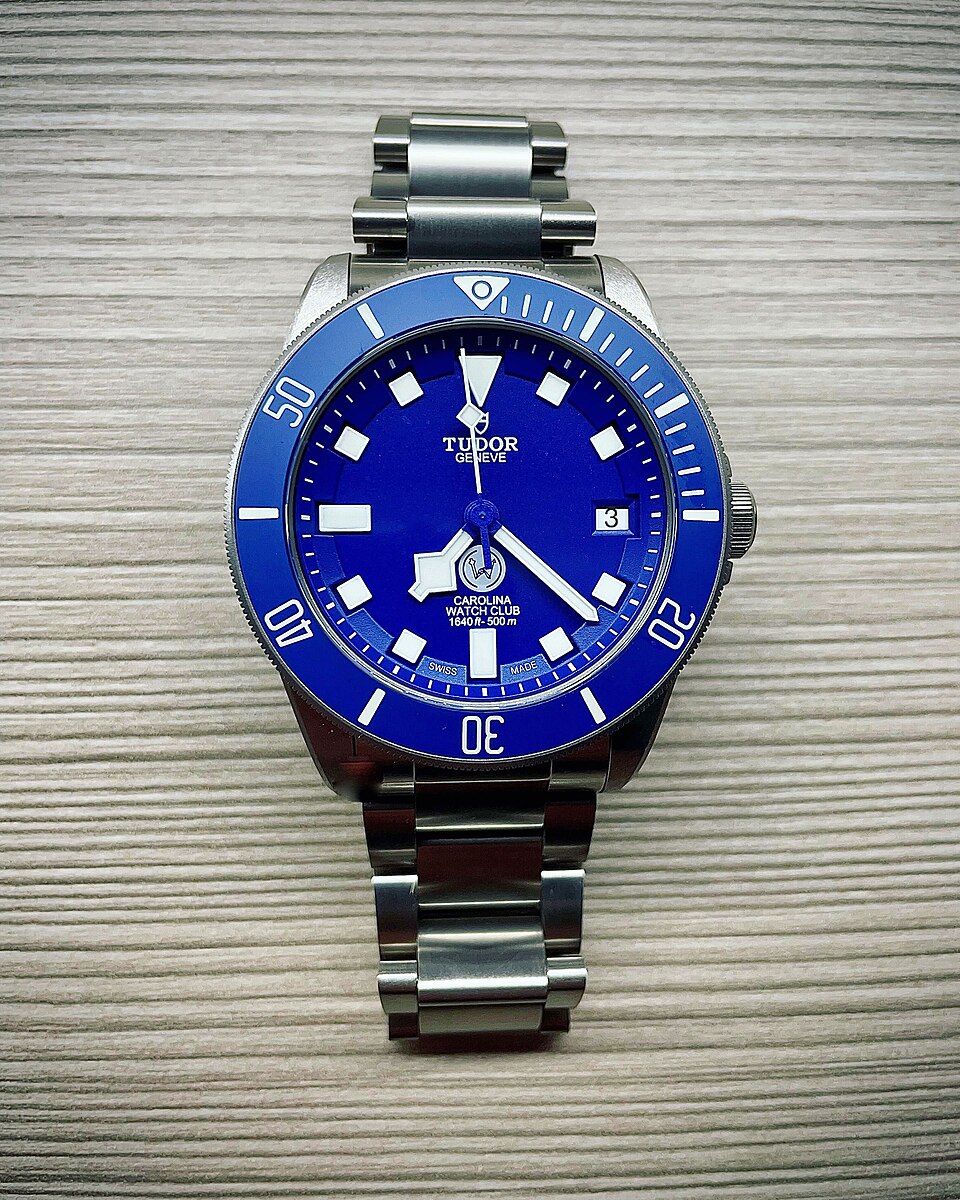Tudor dive watch (representative photo)